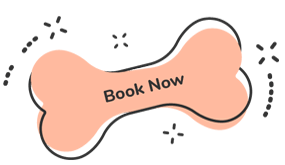 https://sydneydogandcatboarding.com.au/wp-content/uploads/2019/08/text_07.png