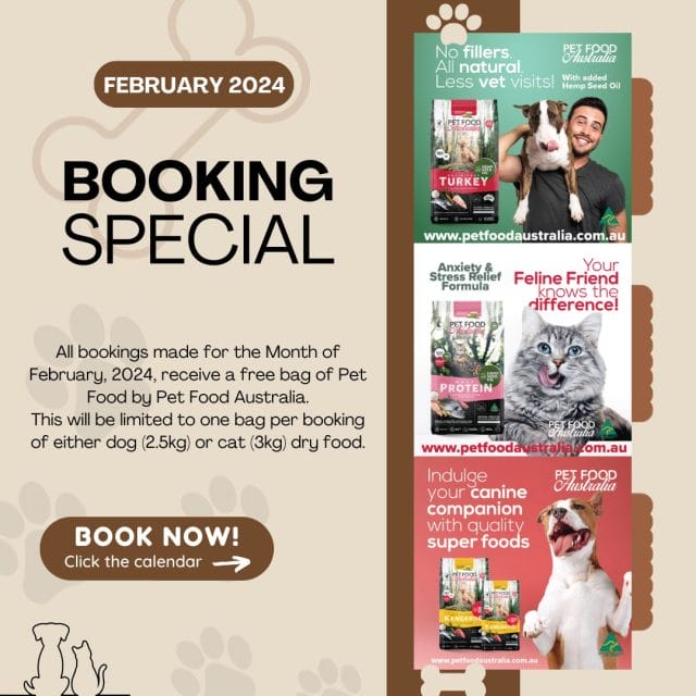 Promotions Sydney Dog Cat Boarding   FEBRUARY 2024 Booking Promotion 640x640 