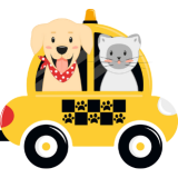 Pet Taxi available from Sydney Dog and Cat Boarding