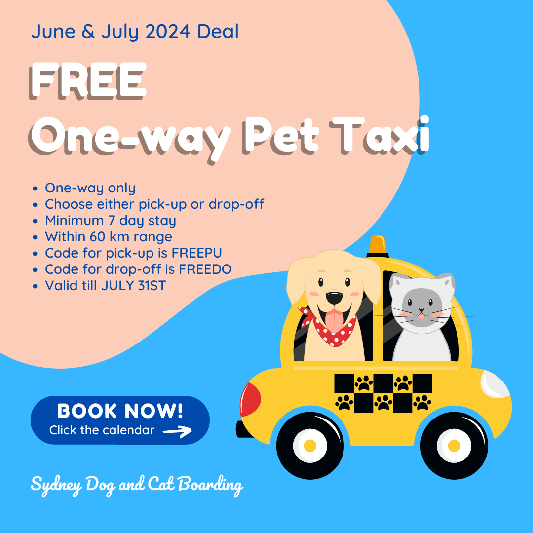 Free Pet Taxi from Sydney Dog and Cat Boarding - conditions apply.