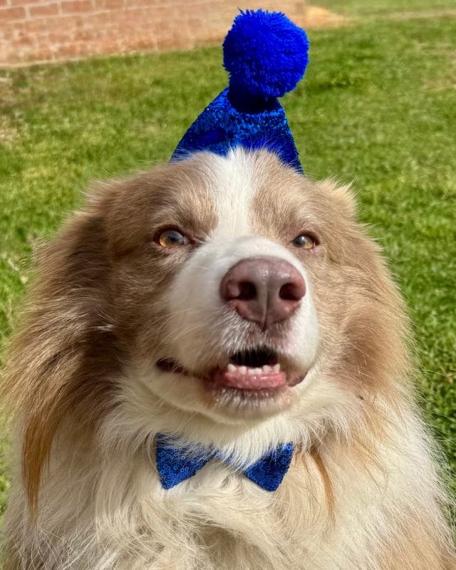 Ranger Birthday Party