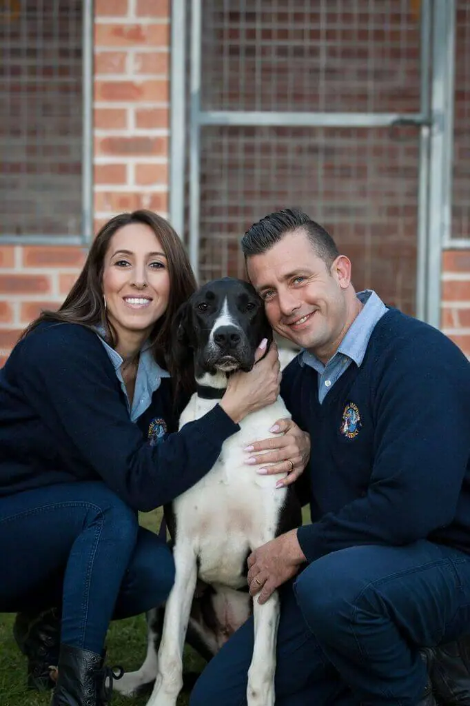 Sydney dog and sales cat boarding